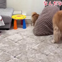困惑するほのちゃん