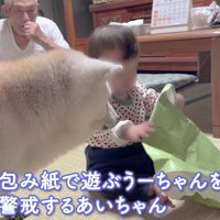 「何をしているの？」