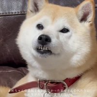 愛に溢れた日々が、ずっと続きますように