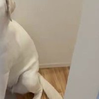 仕事へ行こうとしたら…