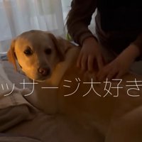 朝の挨拶をしながらマッサージ