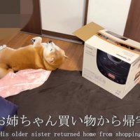 パン作りを見学