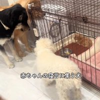 大きな声で本人も起床