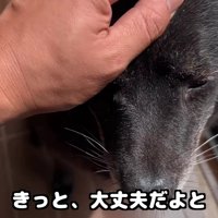 会える日が楽しみだね