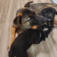 これから幸せになってね！