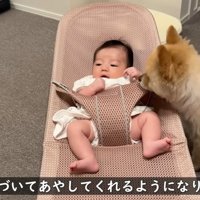 一生懸命あやしてくれています