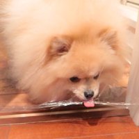 裂け目をペロペロ舐めて…