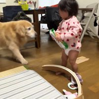 オヤツを奪うベルちゃん