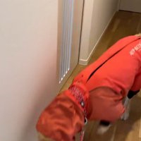 急な切り替えに爆笑♪