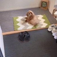 動かないニコちゃん