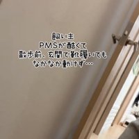 玄関の壁