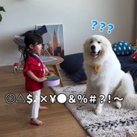観客になるとと丸ちゃん