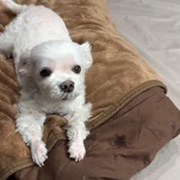 「帰ってきたよ！」と伝えたら…