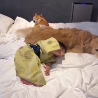 ほのちゃんも眠くなったみたい