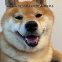 ニコニコで会話するなみちゃん