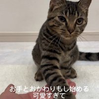 犬のコマンドも習得済み♪