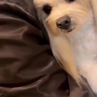 夢にまで見た瞬間が…