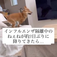 らむねちゃんとお姉ちゃんの再会