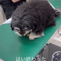 余裕をかまして検温終了