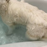 何かに似ている…！！