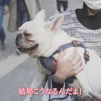抱っこして帰ることに