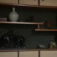 愛犬と実家に帰ったら…