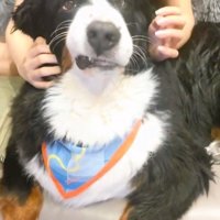 右頬が上がるハリーくん