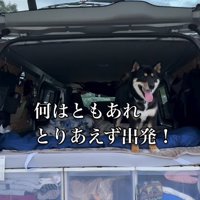 車に乗って旅に出発する柴犬