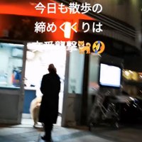 交番に向かう秋田犬