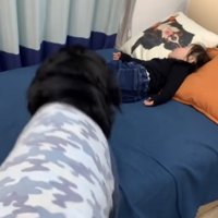 寝ている女の子の方に向かう大型犬