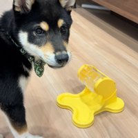 ご飯が出る玩具に苦戦するくろべえ君3