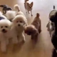 2本足で立ってる！！