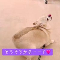 そろそろかな？