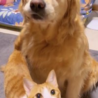 家族愛たっぷりのデイジーさん