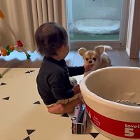 優しいハナちゃん