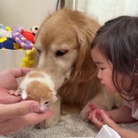 「可愛い…」