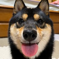 ニコニコ