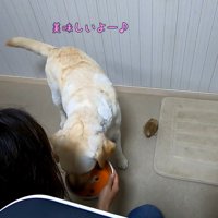 美味しそうに食べています♪