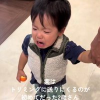 手を引かれて歩く男の子