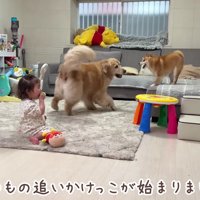 ワンプロが勃発！！