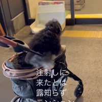 テンションMAXなういちゃん