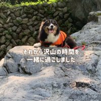 外で日向ぼっこする犬