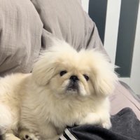 目がキラリ！！