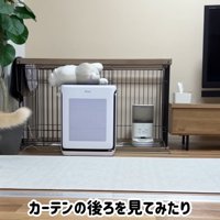 ポテチくんとレモンさんの再会6