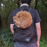 こう見えて小型犬です♡