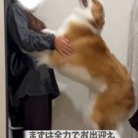 全身を使って大歓迎！！