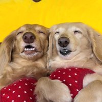 ピタッと寄り添って爆睡中♡