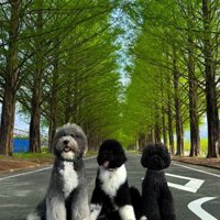 普段は仲良しな3頭です♪