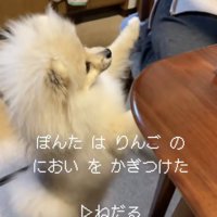速やかにおねだり