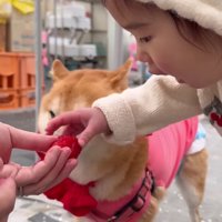 「かーしーて！」